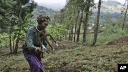 Dalam mengatasi dampak perubahan iklim, sebagian petani di Afrika Timur berinisiatif memulai metode-metode pertanian inovatif, di antaranya dengan menanam pohon guna menghentikan erosi dan meningkatkan kualitas air dan tanah (foto: dok).