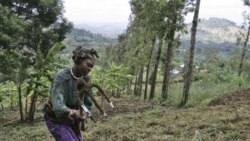 Lesson 5: Metou’s Mother 