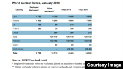 2018年全球擁有核國家的年度報告。