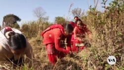 Community-led farming initiative restores wastelands, rural incomes in North India