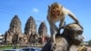 تھائی لینڈ کا تاریخی شہر لوپبوری جہاں انسان پنجروں میں قید، بندر آزاد گھومتے ہیں