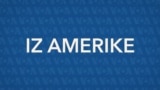 Iz Amerike 223 | Nevada i izbori; Podrška slavnih; Trka kroz i za Ukrajinu; Skrivena čuda okeana