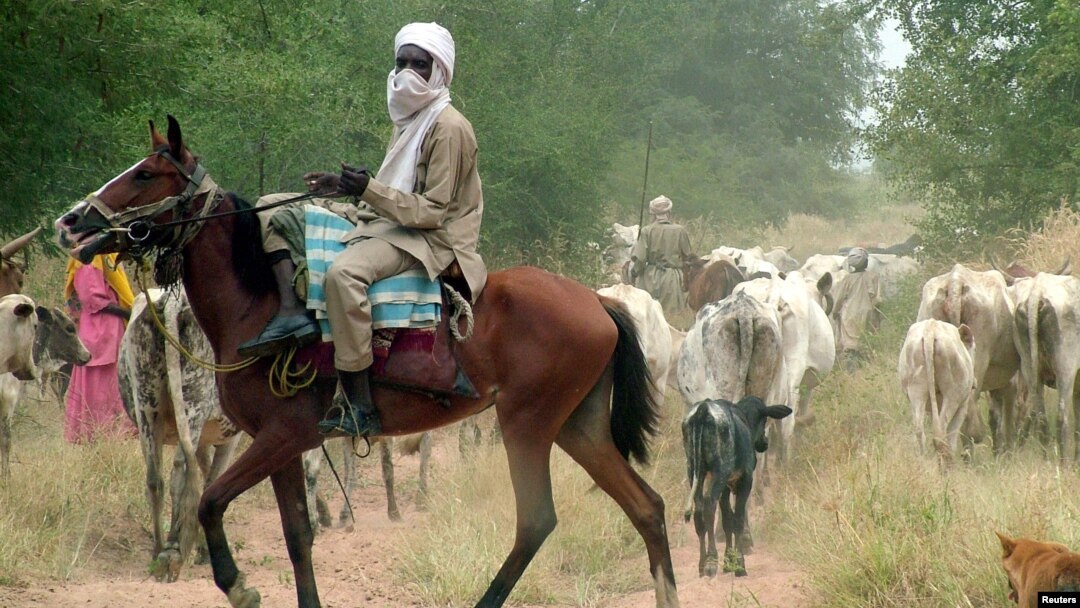 Seorang penggembala dari Chad menggembala ternaknya di Kota Koukou Angarana, sekitar 90 km dari perbatasan Chad dengan Sudan, 12 Oktober 2006. (Foto: Reuters)