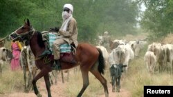 Seorang penggembala dari Chad menggembala ternaknya di Kota Koukou Angarana, sekitar 90 km dari perbatasan Chad dengan Sudan, 12 Oktober 2006. (Foto: Reuters)