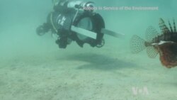 Technology: Robot Fighting Invasive Species