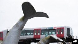 A metro is seen landed on a sculpture of a whale tail after it rammed through the end of an elevated section of rails in Spijkenisse, near Rotterdam, Netherlands.