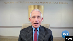 VOA’s Russian service discusses the pandemic with Dr. Anthony Fauci, the director of the National Institute of Allergy and Infectious Disease, June 11, 2020.