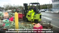 Косатки вымирают. Что нужно делать, чтобы спасти их?