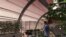 Mars_Greenhouse_ (Long-term setttlements on Mars could potentially grow their own food) NASA