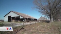 بنکەی سەربازی فۆرت کاپبلی ئەمەریکا