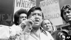 Cesar Chavez en 1975. El 31de marzo será su día nacional. 