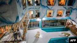 People look at polar bears inside an enclosure at a newly-opened hotel, which allows guests views of the animals from rooms on the premises in Harbin, northeastern China's Heilongjiang province.