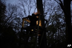 Martin Edwards, Head of Deer and Woodland Management at BASC (The British Association for Shooting and Conservation), aims at a deer in a woods at Tichborne, east of Winchester in Hampshire, England, Monday, Nov. 4, 2024. (AP Photo/Kin Cheung)