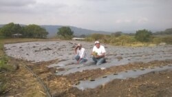  Más de 131 millones de personas en las América no pueden acceder a una dieta saludable