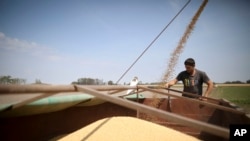 Gabriel Tortonese harvests soybeans on the outskirts of Pergamino, Argentina, Oct. 9, 2019.