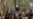 Mali Rebels Gain Ground in North