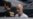 Ex-Brazil Tycoon Batista Handed 30-Year Sentence for Corruption