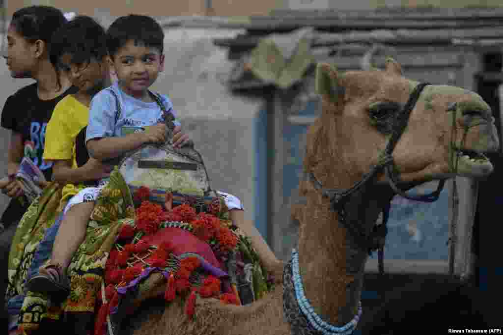 د پاکستان په کراچۍ ښار کې د اختر په مناسبت ماشومان اوښانو باندې سپرلي کوي