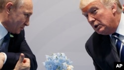 FILE -U.S. President Donald Trump (R) meets with Russian President Vladimir Putin at the G20 Summit in Hamburg, Germany, July 7, 2017. 