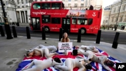 PETA supporters dressed in bear masks and covered in bloody "arrow wounds" lie on a Union Jack flag as they hold a "die-in" near the Ministry of Defense headquarters in London to protest the slaughter of Canadian black bears for ornamental bearskin caps, Jan. 19, 2024.