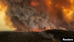Australia Fire