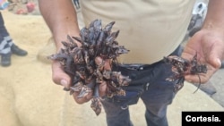 Aves y fauna marina fueron afectadas por la contaminación de las aguas en la playa Las Capullanas, Talara, en el noroeste de Perú, ocurrido el 21 de diciembre de 2024. [Foto: Cortesía Ministerio Público]