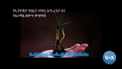 የኢትዮጵያ ግብርና መጻዒ እጣፈንታ እና የዘረመል ለውጥ ውዝግብ