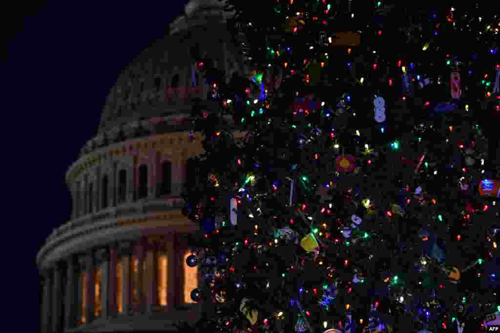 Cada noche el brillo del &#225;rbol de Navidad del Capitolio de EE.UU., en Washington, D.C. ilumina los alrededores. Imagen del 2 de diciembre de 2020. [AFP].