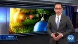Amerika Manzaralari, Jan 6, 2020 - Exploring America