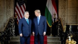 Perdana Menteri Hongaria Viktor Orban bertemu dengan mantan Presiden AS Donald Trump di kediaman Trump, Mar-a-Lago, di Palm Beach, Florida, 8 Maret 2024. (Foto: Zoltan Fischer/Kantor Perdana Menteri Hongaria via AFP)