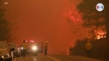 Bomberos heridos y miles de desplazados por incendio Dixie, algunos se resisten a evacuar zonas de peligro