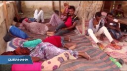 Oromo ku qulqulaysa Puntland