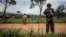 Une patrouille de la Monusco pour traquer les rebelles ougandais des Forces Démocratiques Alliés (ADF), le 13 novembre 2018.