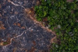 In this Nov. 23, 2019 photo, a burned area of the Amazon rainforest is seen in Prainha, Para state, Brazil.