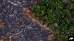 FILE - In this Nov. 23, 2019 photo, a burned area of the Amazon rainforest is seen in Prainha, Para state, Brazil.