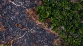 In this Nov. 23, 2019 photo, a burned area of the Amazon rainforest is seen in Prainha, Para state, Brazil.