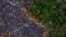 In this Nov. 23, 2019 photo, a burned area of the Amazon rainforest is seen in Prainha, Para state, Brazil.