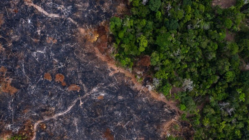 Amazon Rainforest Nears Climate 'Tipping Point' Faster Than Expected