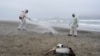 ARCHIVO - Los brotes de gripe aviar han surgido desde 2022 en Sudamérica como muestra esta imagen tomada el 1 de diciembre de ese año, en la que se observa a trabajadores municipales de Lima, Perú, desinfectando una playa con pelícanos infectados.