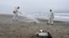 FILE - Petugas mendisinfeksi pelikan mati di pantai San Pedro di Lima, Peru, 1 Desember 2022. WHO mengatakan lebih dari dua lusin kucing telah terinfeksi flu burung di seluruh Polandia. (AP/Guadalupe Pardo, File)