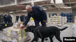 ARCHIVO - Denver, un perro detector de drogas de la Agencia de Servicios Fronterizos de Canadá, demuestra sus habilidades para encontrar drogas en el puerto de entrada de Lansdowne, junto al puente Thousand Islands en Lansdowne, Ontario, Canadá, el 12 de febrero de 2025.