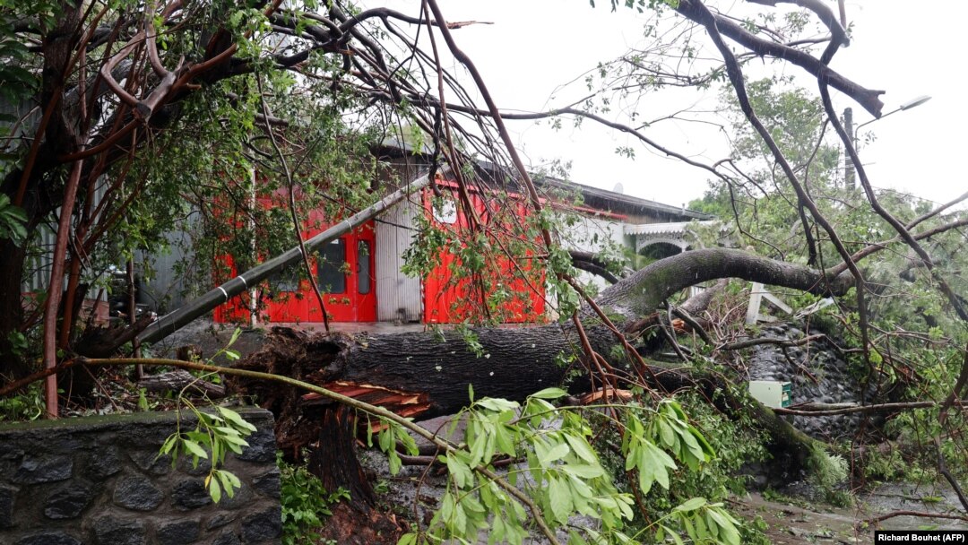 Igiti catembagajwe n'igihuhusi kivanze n'imvura Batsirai i Saint-Denis de la Réunion, itariki 3/02/2022