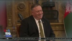 اخبار شبانگاهی