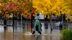 Seorang pejalan kaki berjalan di jalanan yang tergenang banjir akibat badai di Santa Rosa, California, 21 November 2024.