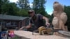 Chainsaw art: Turning tree stumps into masterpieces