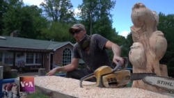 Chainsaw art: Turning tree stumps into masterpieces