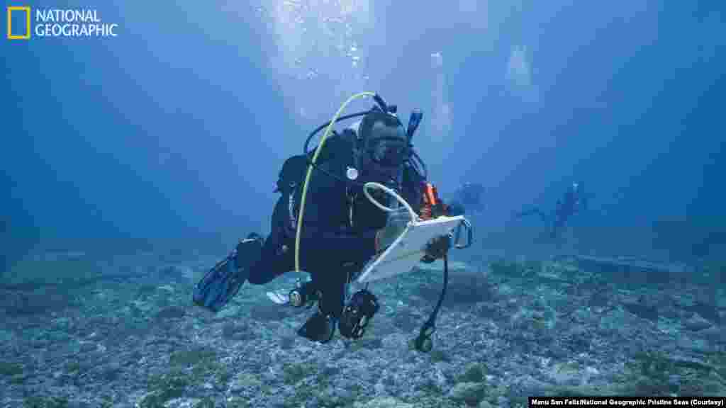 Ronnie Posala collects data on a dive on the National Geographic Pristine Seas expedition in the Solomon Islands.