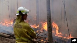 A firefighter keeps an eye on a controlled fire as they work at building a containment line at a wildfire near Bodalla, Australia, Jan. 12, 2020. 