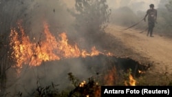 Seorang tentara menyeret selang air saat berusaha memadamkan lahan gambut yang terbakar di Ogan Ilir, Sumatera Selatan (30/9). (Reuters/Nova Wahyudi/Antara)