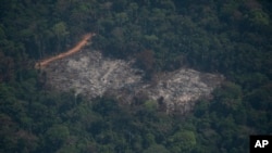 A destroyed area is seen in a part of the Menkragnoti indigenous reserve of the Kayapo indigenous group in the Amazon rainforest in Altamira, Para state, Brazil, Aug. 28, 2019. 